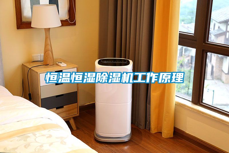 恒溫恒濕除濕機(jī)工作原理