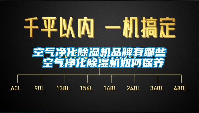 空氣凈化除濕機品牌有哪些 空氣凈化除濕機如何保養