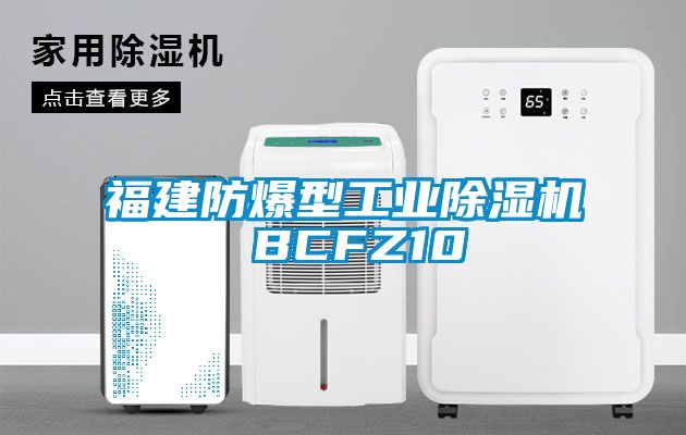 福建防爆型工業除濕機 BCFZ10