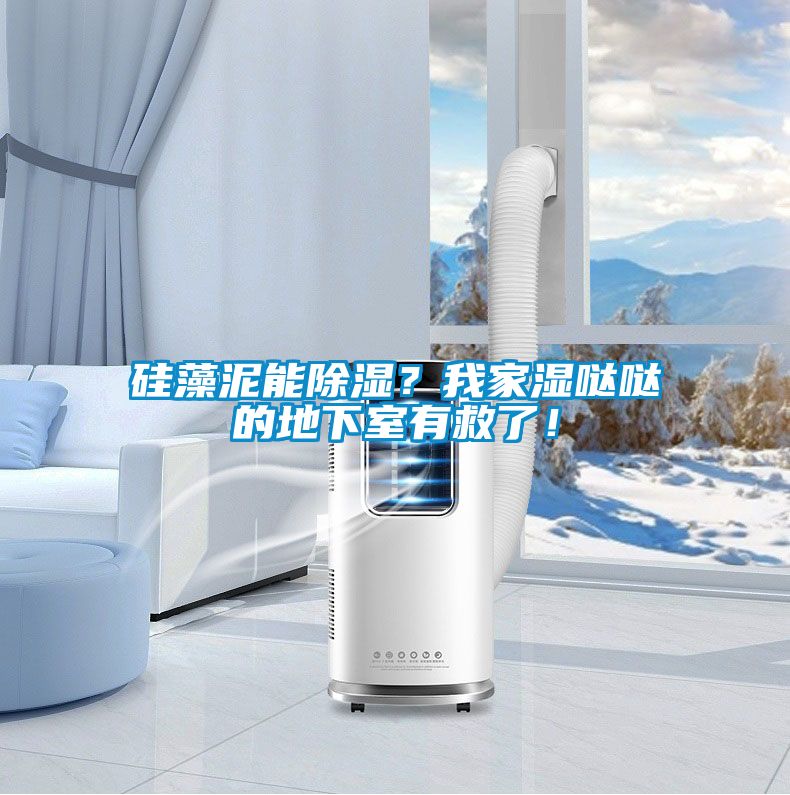 硅藻泥能除濕？我家濕噠噠的地下室有救了！