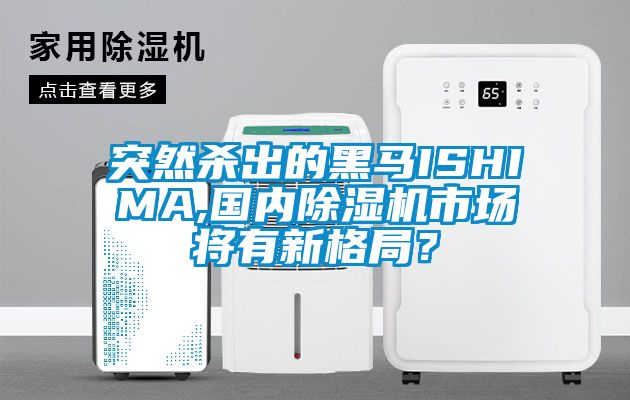 突然殺出的黑馬ISHIMA,國(guó)內(nèi)除濕機(jī)市場(chǎng)將有新格局？