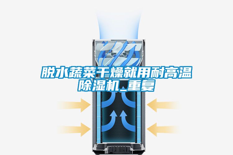 脫水蔬菜干燥就用耐高溫除濕機_重復