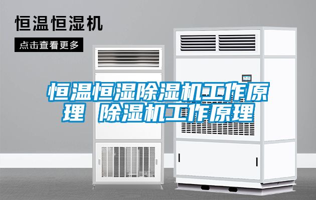 恒溫恒濕除濕機工作原理 除濕機工作原理