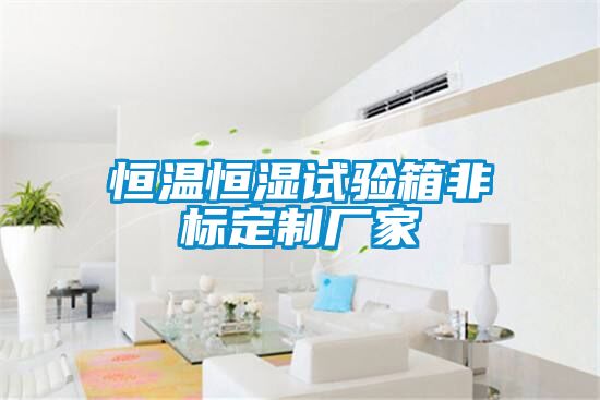 恒溫恒濕試驗箱非標定制廠家