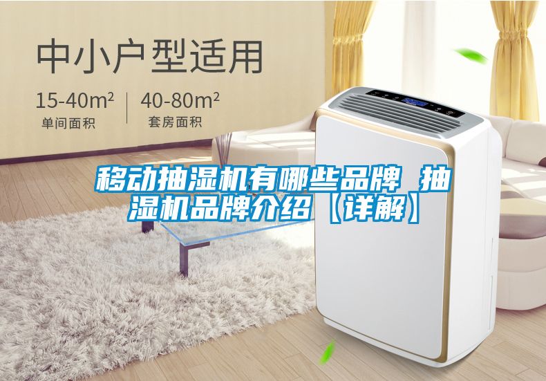 移動抽濕機有哪些品牌 抽濕機品牌介紹【詳解】