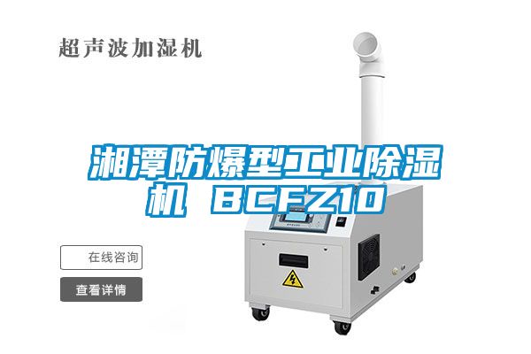 湘潭防爆型工業除濕機 BCFZ10