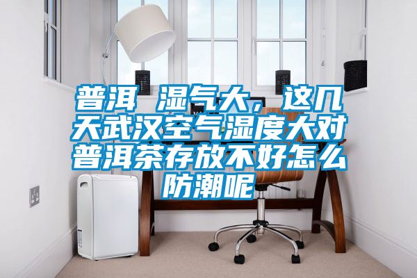 普洱 濕氣大，這幾天武漢空氣濕度大對普洱茶存放不好怎么防潮呢