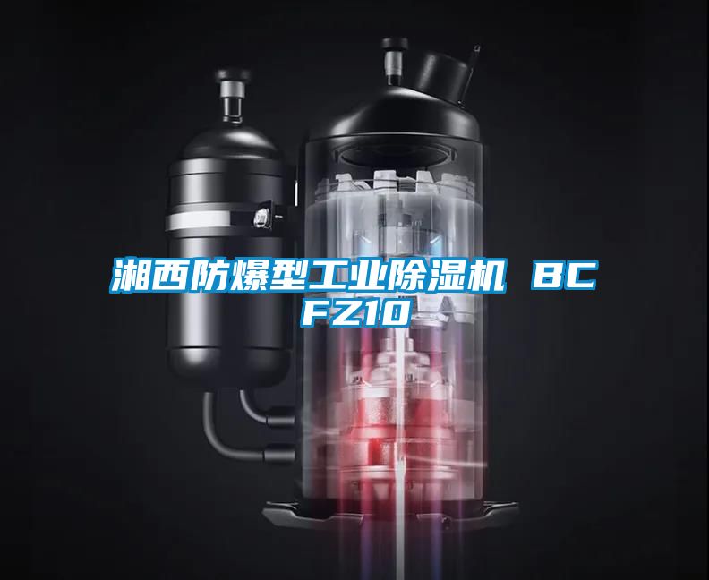 湘西防爆型工業除濕機 BCFZ10