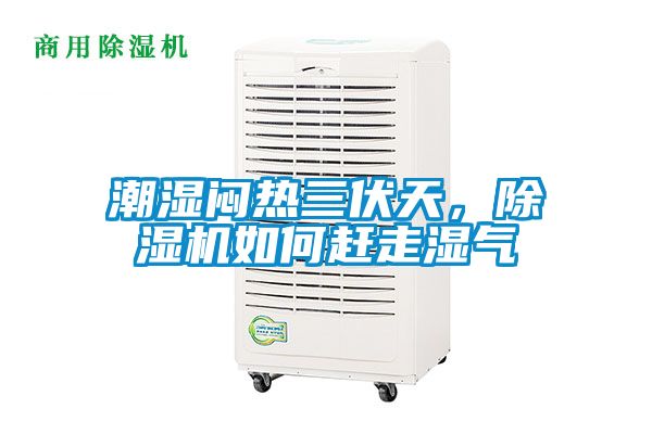 潮濕悶熱三伏天，除濕機如何趕走濕氣