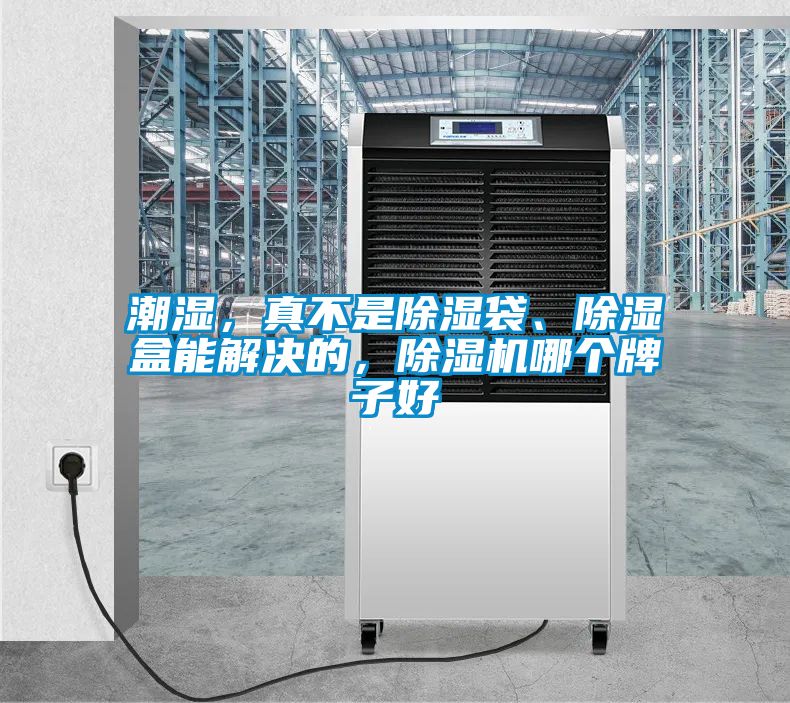 潮濕，真不是除濕袋、除濕盒能解決的，除濕機哪個牌子好