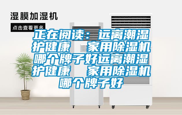 正在閱讀：遠離潮濕護健康  家用除濕機哪個牌子好遠離潮濕護健康  家用除濕機哪個牌子好