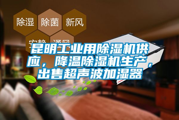 昆明工業(yè)用除濕機(jī)供應(yīng)，降溫除濕機(jī)生產(chǎn)，出售超聲波加濕器