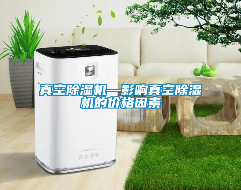 真空除濕機—影響真空除濕機的價格因素