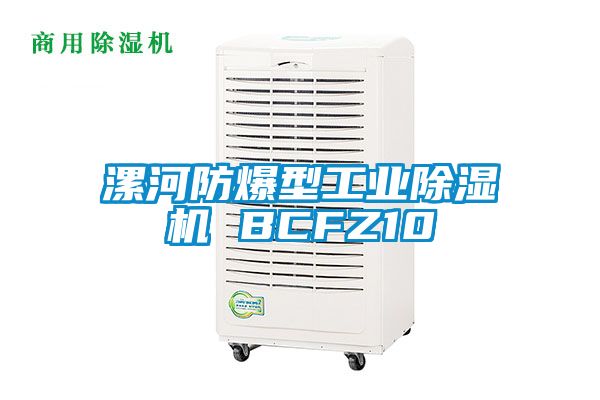漯河防爆型工業除濕機 BCFZ10