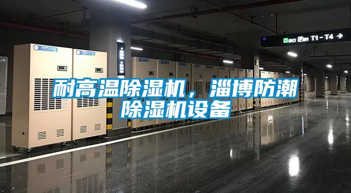 耐高溫除濕機，淄博防潮除濕機設備