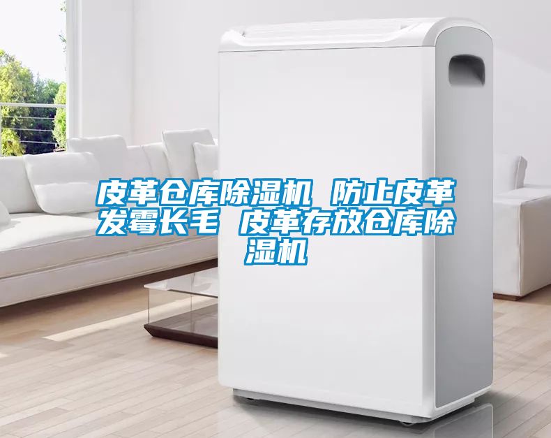 皮革倉(cāng)庫(kù)除濕機(jī) 防止皮革發(fā)霉長(zhǎng)毛 皮革存放倉(cāng)庫(kù)除濕機(jī)