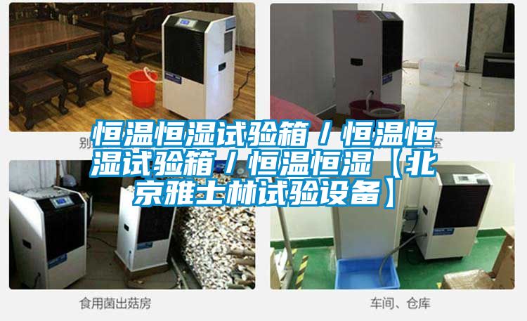 恒溫恒濕試驗箱／恒溫恒濕試驗箱／恒溫恒濕【北京雅士林試驗設備】