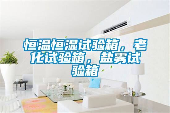 恒溫恒濕試驗箱，老化試驗箱，鹽霧試驗箱