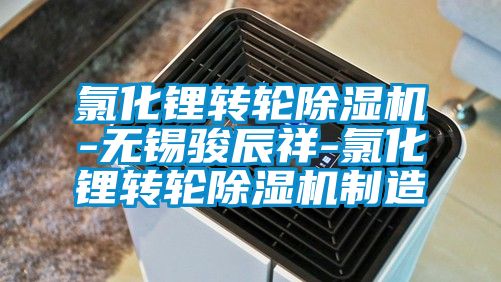 氯化鋰轉輪除濕機-無錫駿辰祥-氯化鋰轉輪除濕機制造