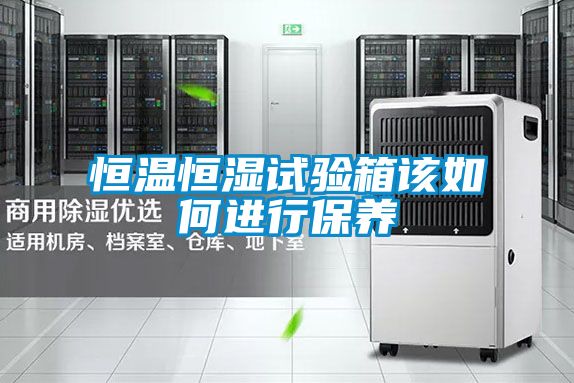 恒溫恒濕試驗箱該如何進行保養