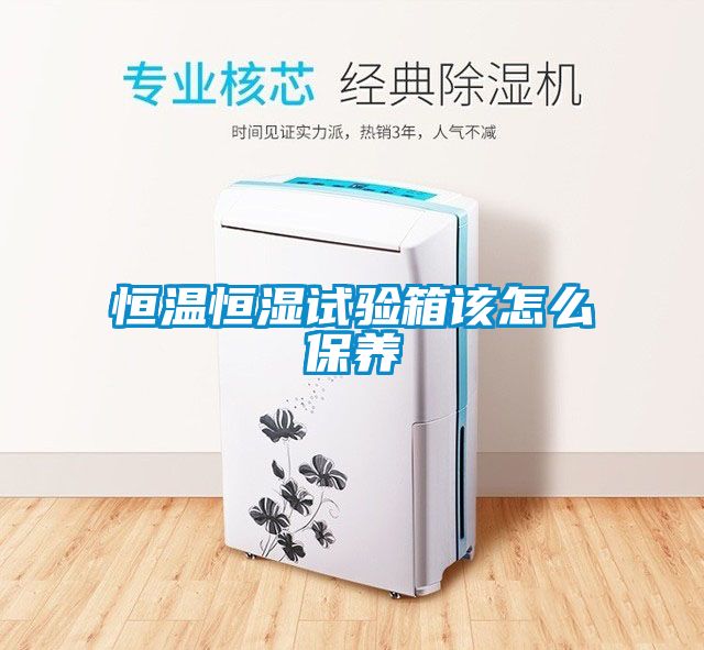 恒溫恒濕試驗箱該怎么保養