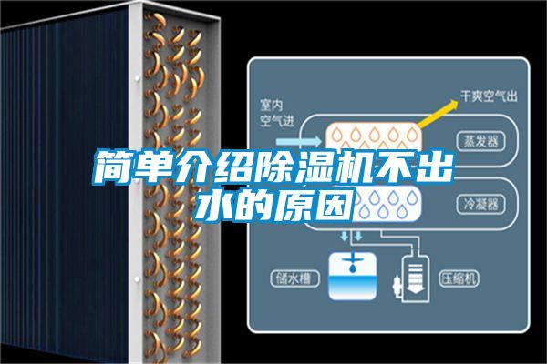 簡單介紹除濕機不出水的原因