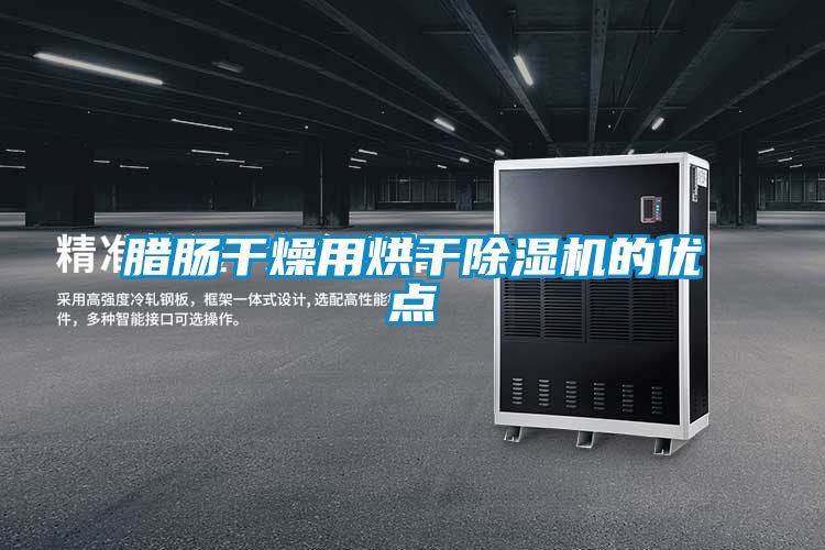 臘腸干燥用烘干除濕機的優點