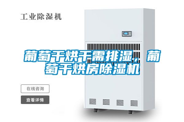葡萄干烘干需排濕，葡萄干烘房除濕機