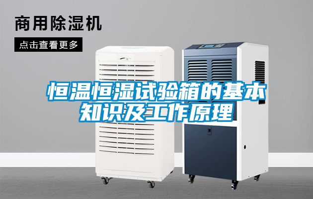 恒溫恒濕試驗箱的基本知識及工作原理