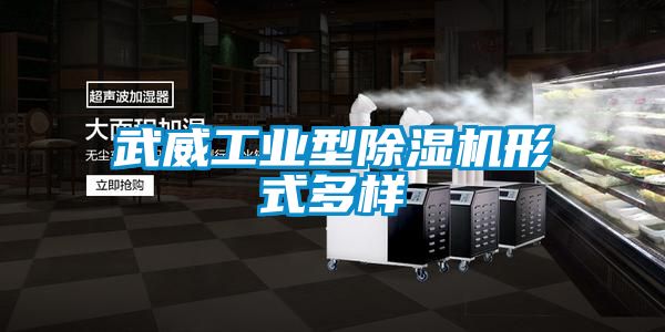 武威工業型除濕機形式多樣