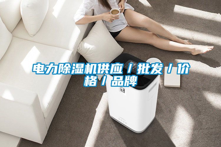 電力除濕機供應／批發／價格／品牌