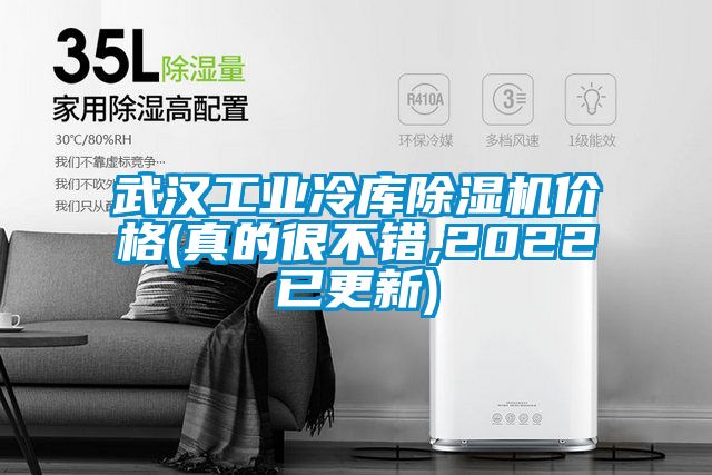 武漢工業(yè)冷庫(kù)除濕機(jī)價(jià)格(真的很不錯(cuò),2022已更新)