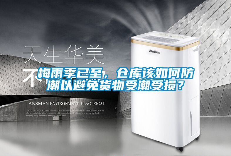 梅雨季已至，倉庫該如何防潮以避免貨物受潮受損？