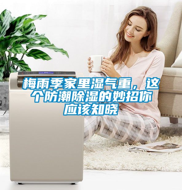 梅雨季家里濕氣重，這個防潮除濕的妙招你應該知曉