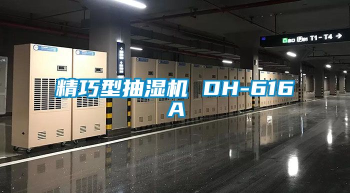 精巧型抽濕機 DH-616A