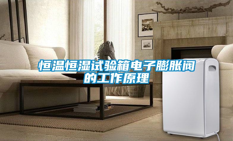 恒溫恒濕試驗(yàn)箱電子膨脹閥的工作原理