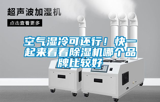 空氣濕冷可還行！快一起來看看除濕機哪個品牌比較好