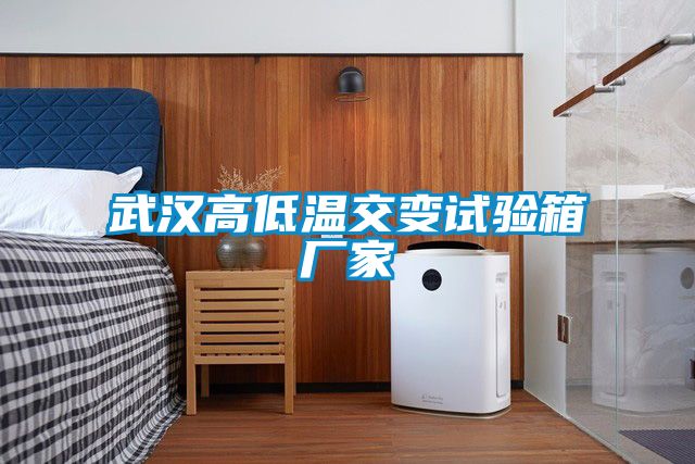 武漢高低溫交變試驗箱廠家