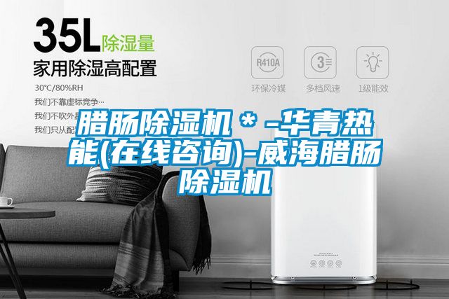 臘腸除濕機＊-華青熱能(在線咨詢)-威海臘腸除濕機