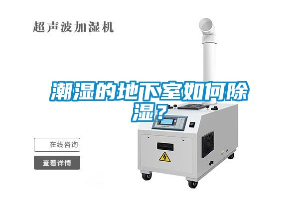 潮濕的地下室如何除濕？