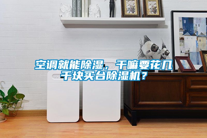 空調(diào)就能除濕，干嘛要花幾千塊買臺(tái)除濕機(jī)？