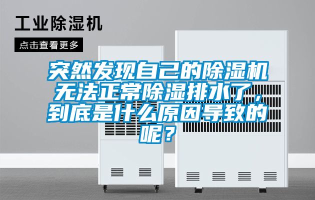 突然發(fā)現(xiàn)自己的除濕機(jī)無法正常除濕排水了，到底是什么原因?qū)е碌哪兀?/></p>
<p style=