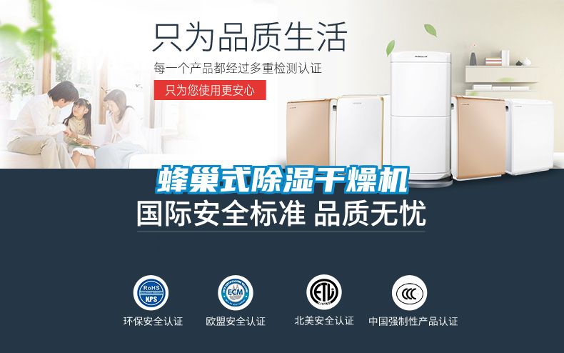 蜂巢式除濕干燥機(jī)