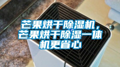 芒果烘干除濕機(jī)，芒果烘干除濕一體機(jī)更省心