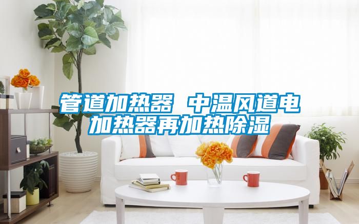 管道加熱器 中溫風(fēng)道電加熱器再加熱除濕