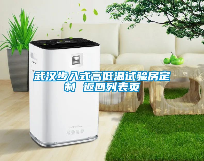 武漢步入式高低溫試驗房定制 返回列表頁