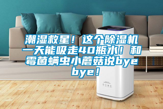 潮濕救星！這個除濕機一天能吸走40瓶水！和霉菌螨蟲小蘑菇說bye bye！