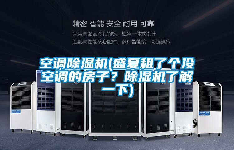 空調(diào)除濕機(盛夏租了個沒空調(diào)的房子？除濕機了解一下)