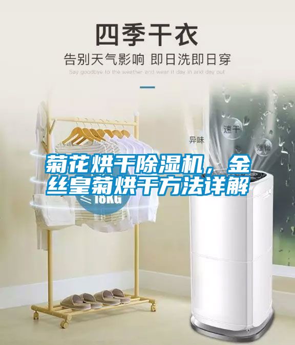 菊花烘干除濕機(jī)，金絲皇菊烘干方法詳解