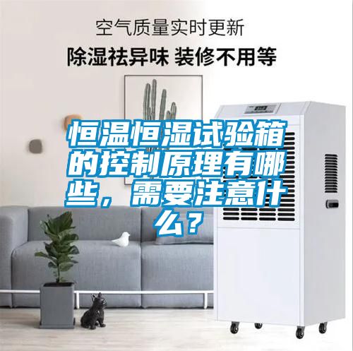 恒溫恒濕試驗(yàn)箱的控制原理有哪些，需要注意什么？